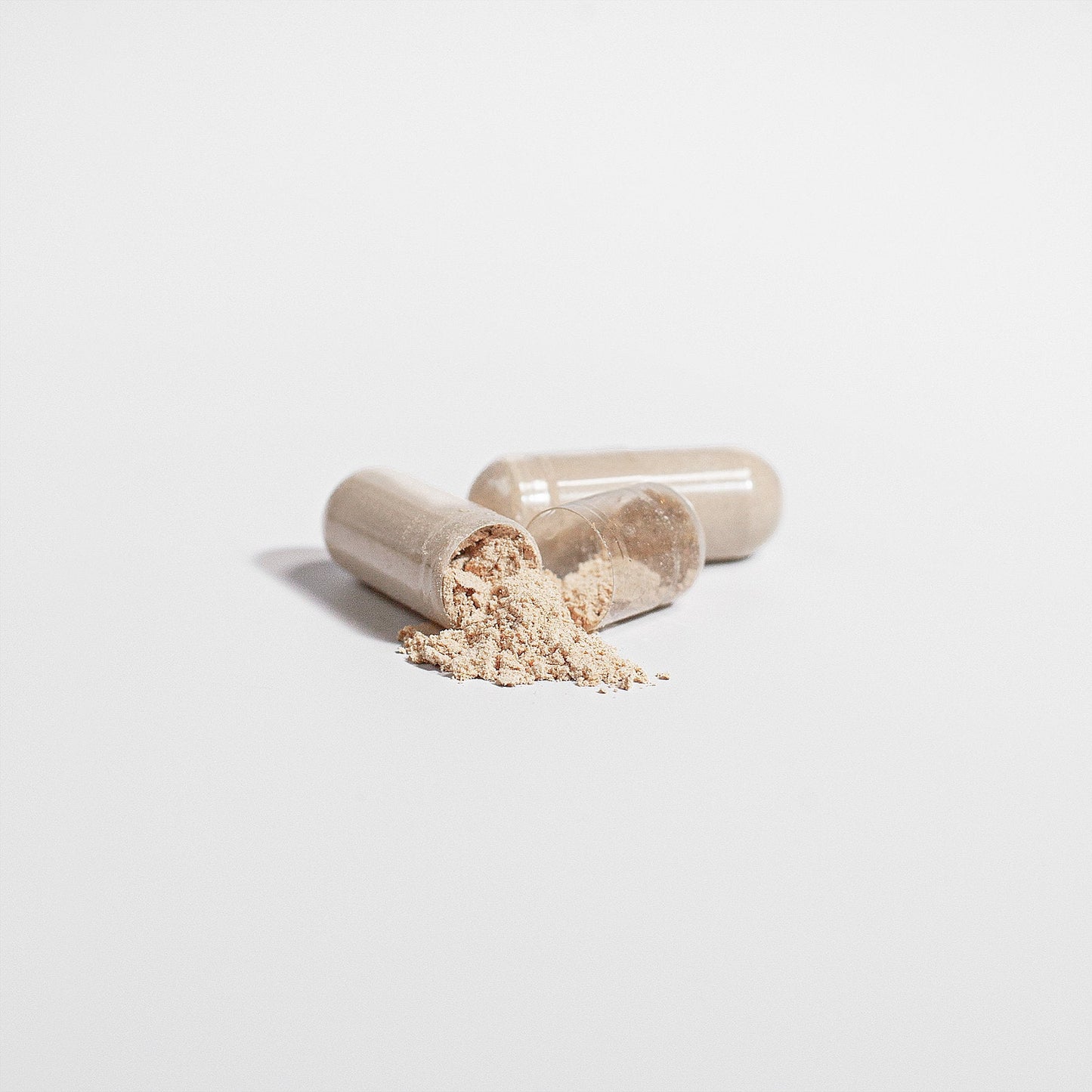 Premium Cordyceps – Refuerzo Inmune, Energía y Recuperación Natural
